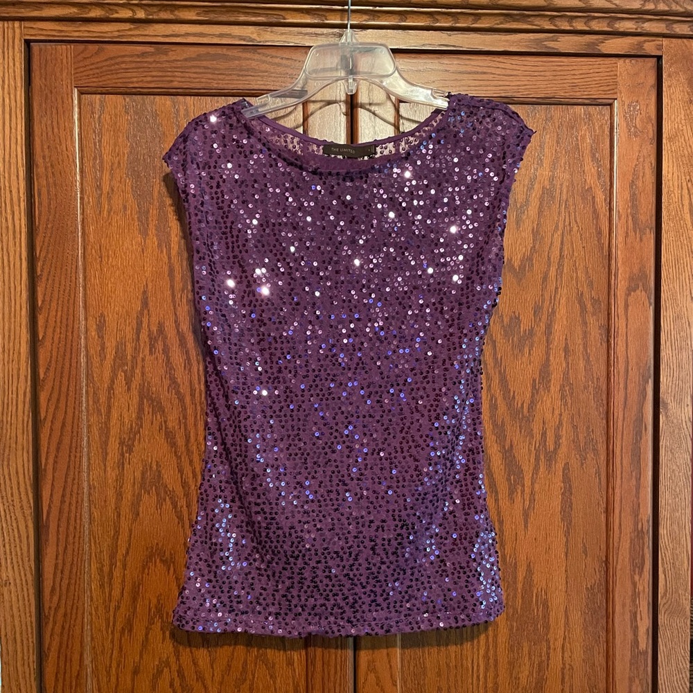 The Limited Sparkling Purple Blouse
